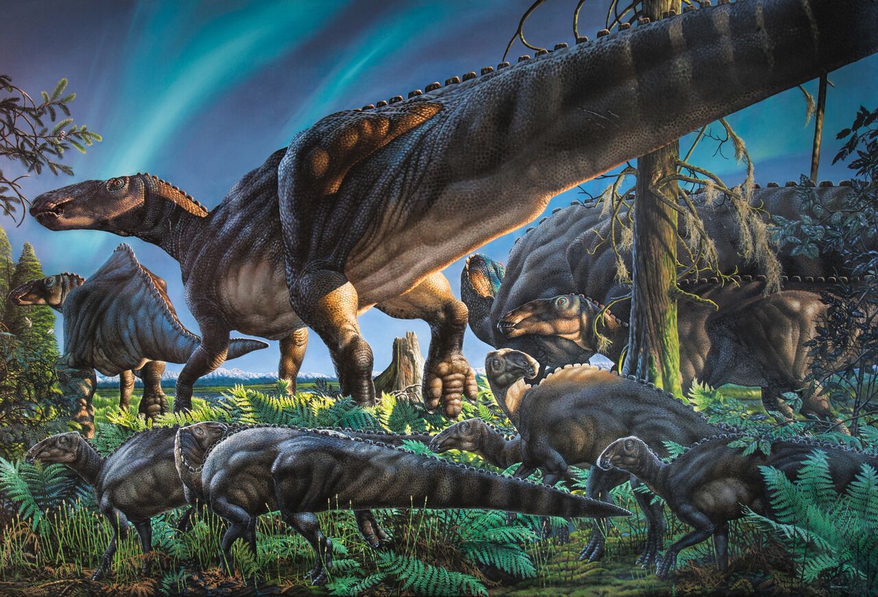 Teen Dinosaurs: T. Rex's Awkward Phase Helped It Hunt - The Atlantic