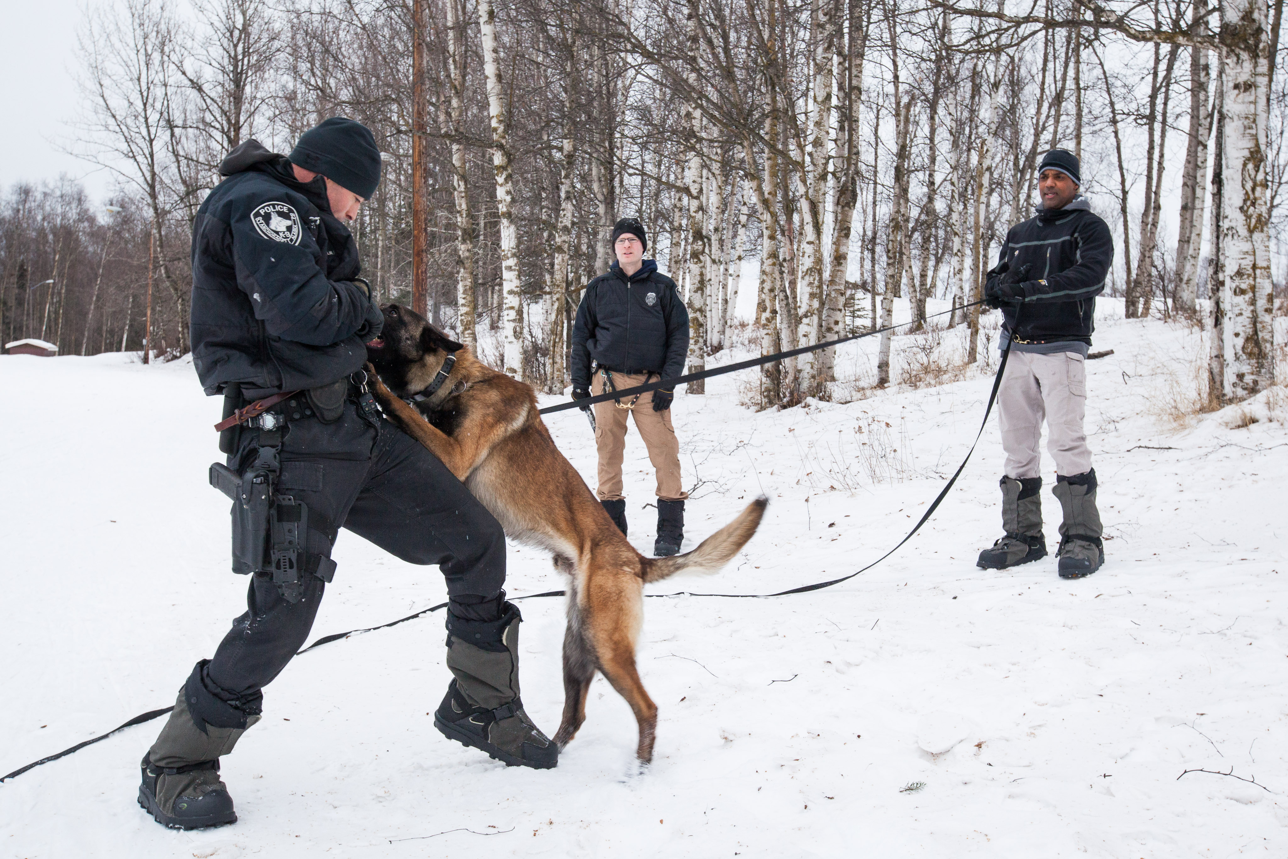 K9 Handler K9 Police Training Police Dog Trainer Kenyalogy K9